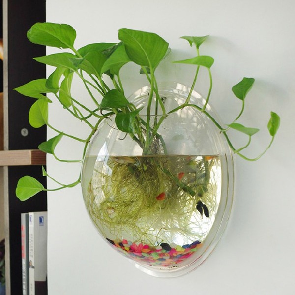 bể cá 3 bể cá 3