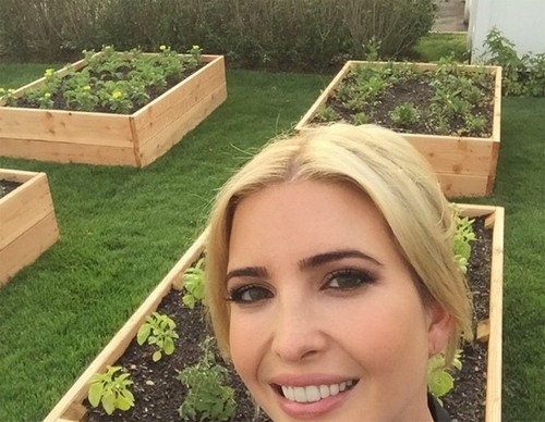 Vườn rau đủ loại của ái nữ nhà Donald Trump