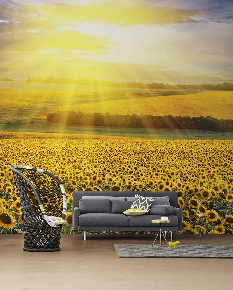 Sunflowers Wall Mural by PIXERS Sunflowers Wall Mural by PIXERS Nature Inspired Eye Deceiving Wall Murals to Make Your Home Look Bigger